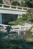 BEI07623.jpg
