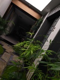 蓝湾上林苑苹果会所茶空间 (1).jpg