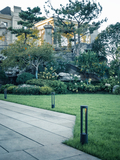 DSC07872-已增强.jpg