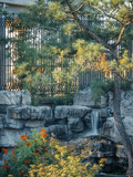 DSC07847-已增强.jpg
