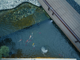 DSC07893-已增强.jpg