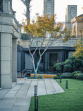 DSC07859-已增强.jpg