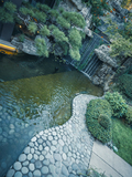DSC07861-已增强.jpg