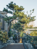 DSC07831-已增强.jpg