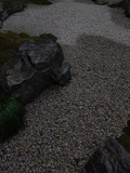 凰家衢州公司后庭 (10).jpg