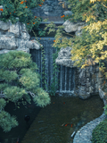 DSC07845-已增强.jpg
