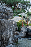 芝园 (33).jpg