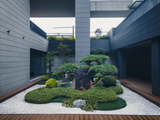 DJI_0712-已增强.jpg