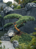 DSC07682-已增强.jpg