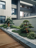 DSC07703-已增强.jpg