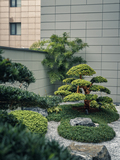 DSC07706-已增强.jpg
