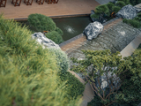 DSC07758-已增强.jpg