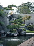 DSC07723-已增强.jpg