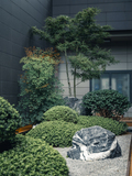 DSC07716-已增强.jpg