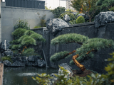 DSC07681-已增强.jpg