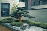 DSC07700-已增强.jpg