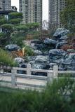 DSC00697.jpg