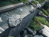 DSC07772-已增强.jpg