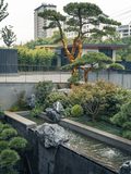 DSC07694-已增强.jpg