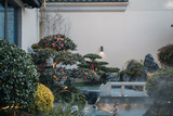 观湖里4-7 (19).jpg