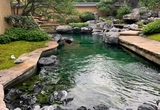 上林苑样板房 (2).jpg